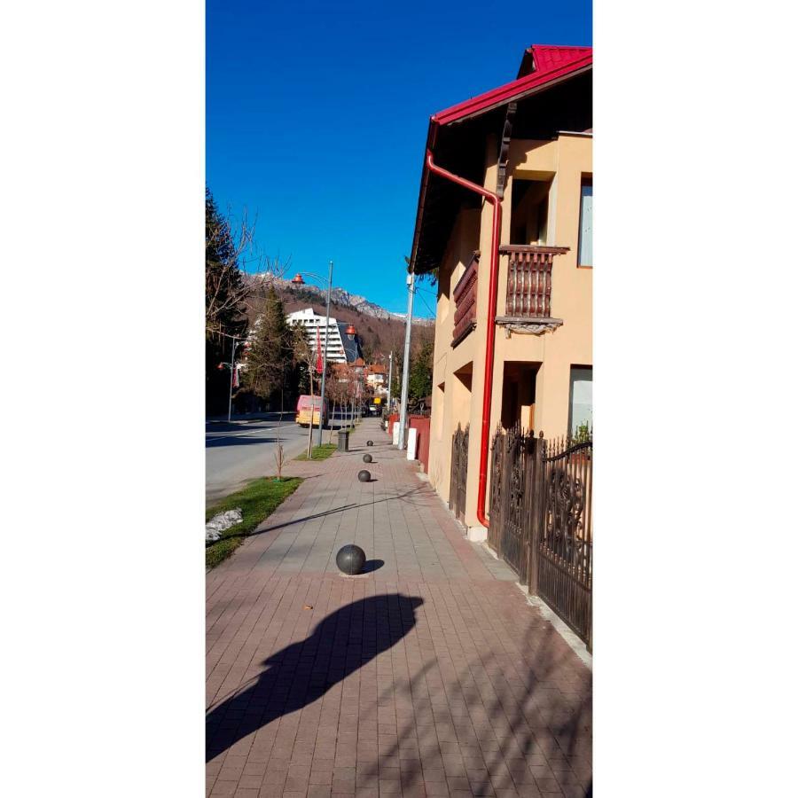 Vaso Apartament Sinaia Exterior foto
