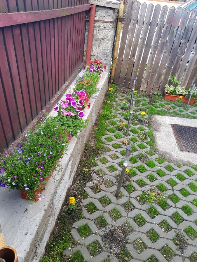 Vaso Apartament Sinaia Exterior foto
